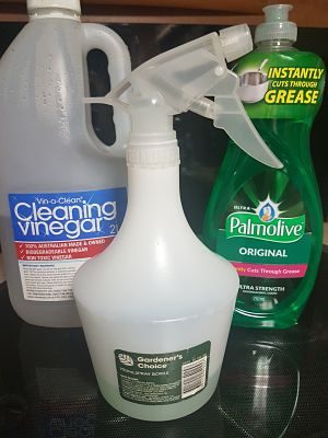Cleaning while camping
