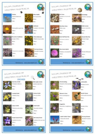 Wildflower checklist