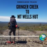 Hiking Gringer Creek to Mt Wells