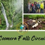 Hiking Coomera Falls Circuit