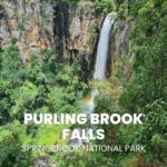 Purling brook falls with kids