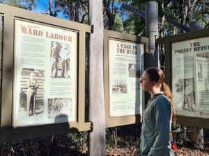learning about marrinup pow camp